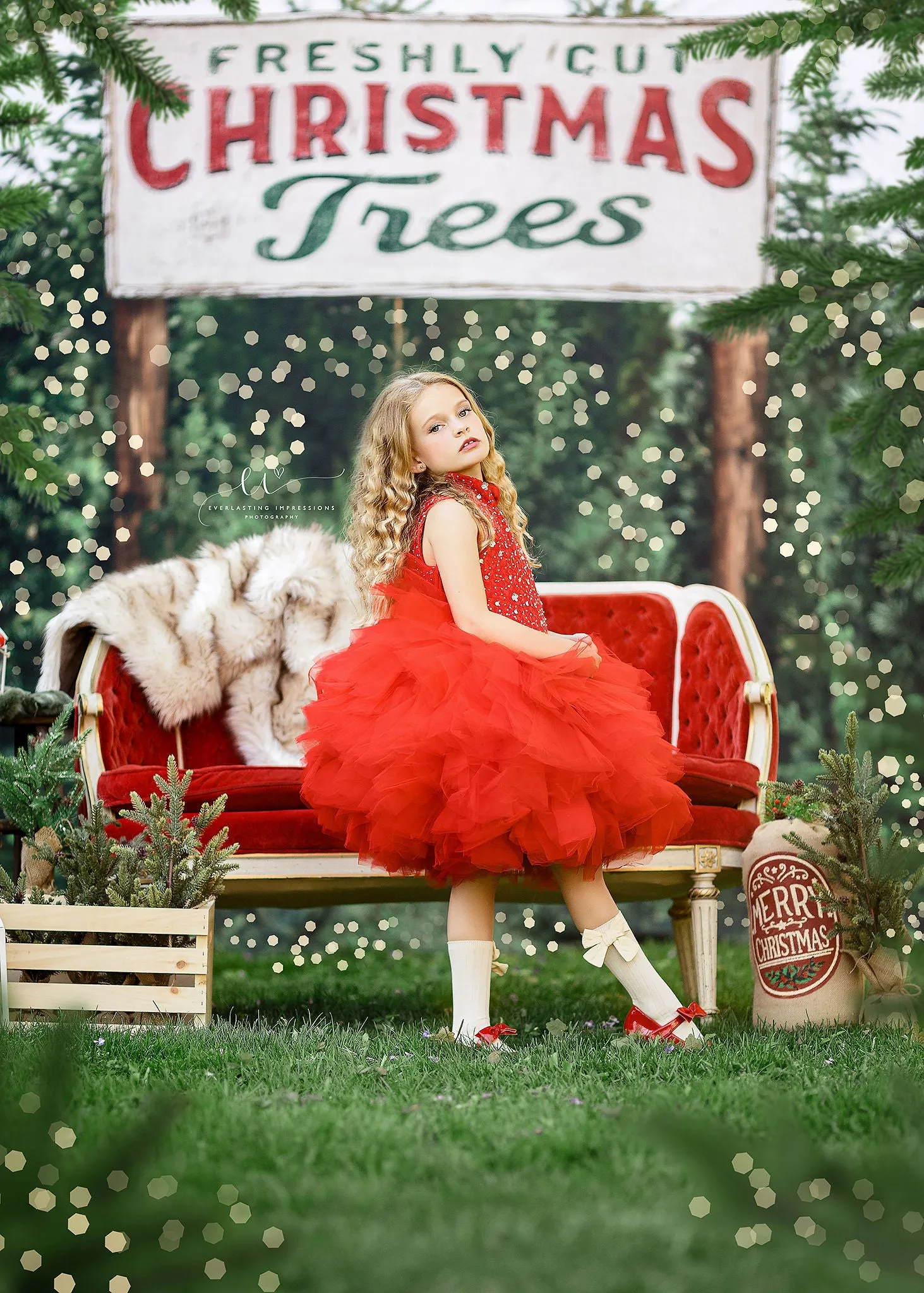 "Poise" in Red- Petal Length Dress (5 Year-Petite 7 Year)